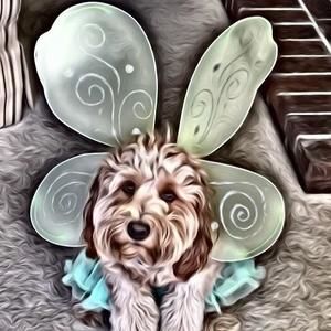 Meet your Posher, Susan